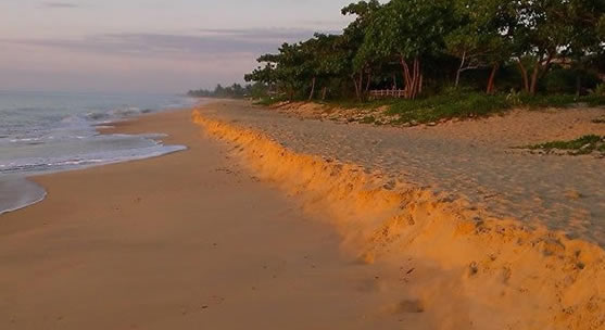 Caraiva taxi